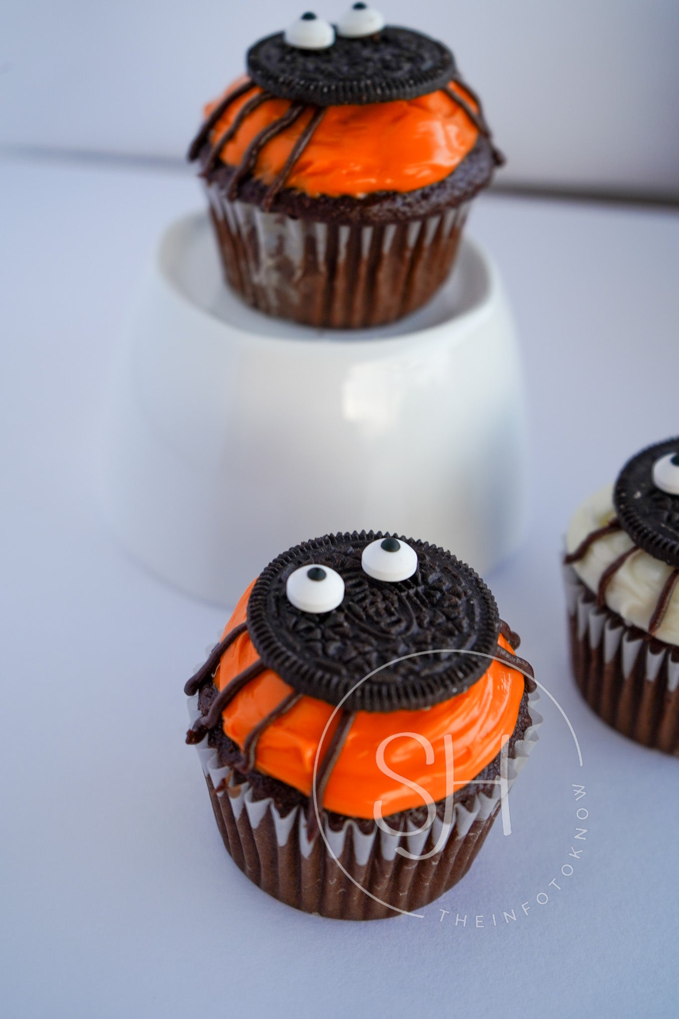 Creepy Crawly Arachnid Cupcakes - set 2 of 3