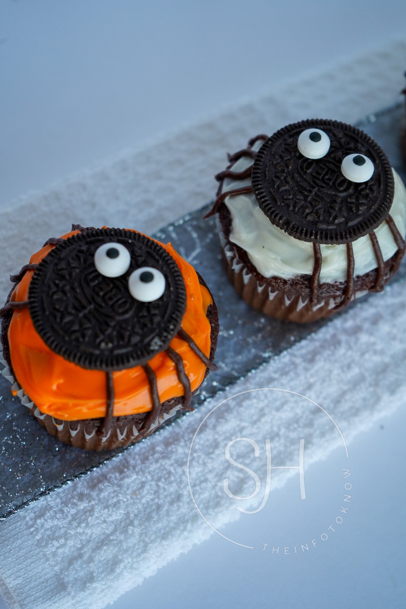 Creepy Crawly Arachnid Cupcakes - set 3 of 3