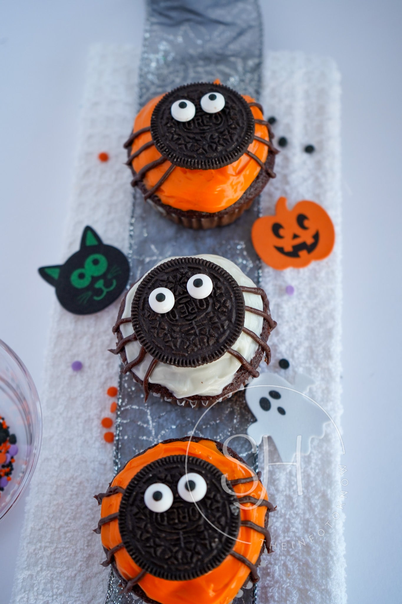 Creepy Crawly Arachnid Cupcakes - set 3 of 3